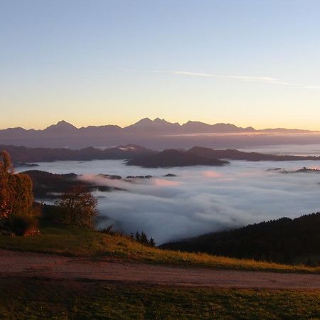 Gostisce In Penzion Stari Vrh Poljane nad Škofjo Loko Exterior foto